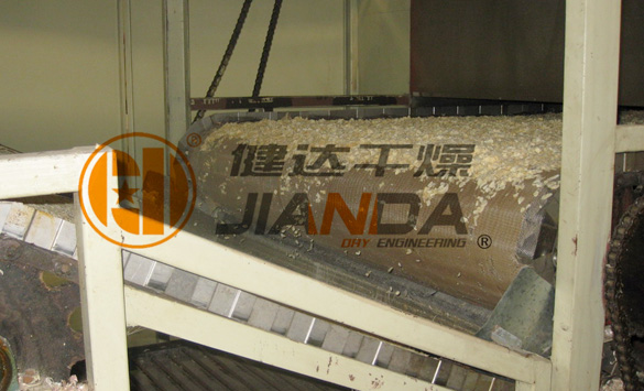 DWT網(wǎng)帶式脫水蔬菜干燥機(jī)